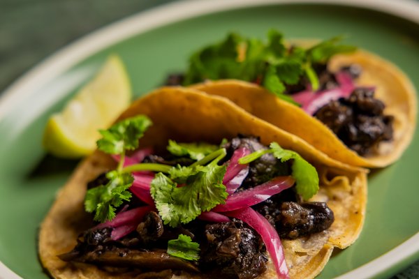 Mushroom & Aubergine Tacos