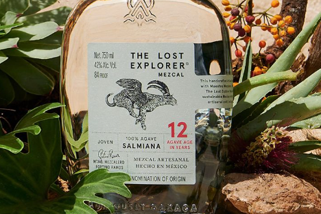 The Lost Explorer Salmiana