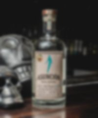 WhatsApp Image 2024-08-29 at 2.45.22 PM[1]